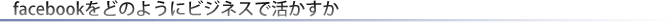 facebookをどのようにビジネスで活かすか